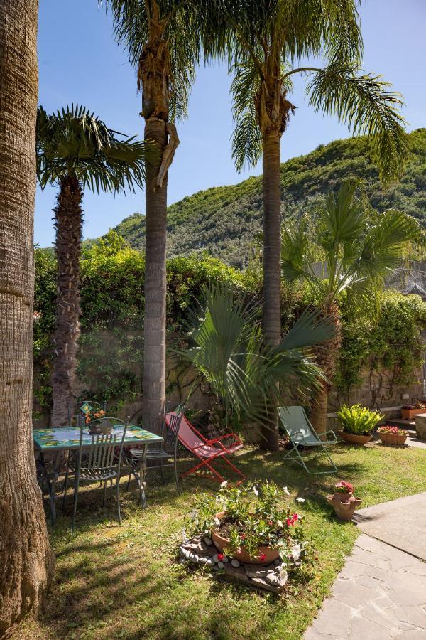 Casa Beatrice Bed & Breakfast Sorrento Exterior photo